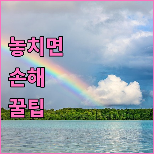종로구 대형폐기물 신고, 스티커 없이 과태료 피하는 법
