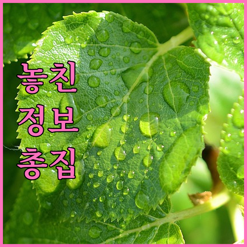 정확한 정보가 당신의 ESTA 승인을 좌우합니다.
