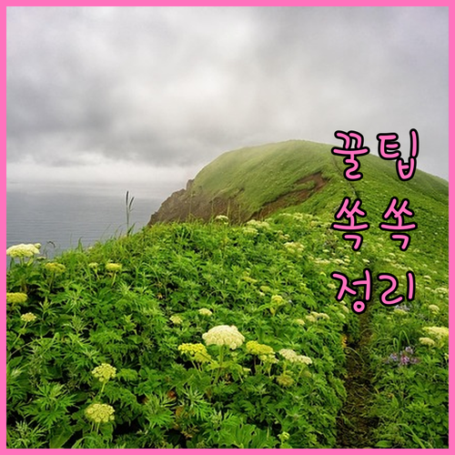 대형폐기물 처리 종로구 소격동 폐가전 무상수거 포함 완벽정리