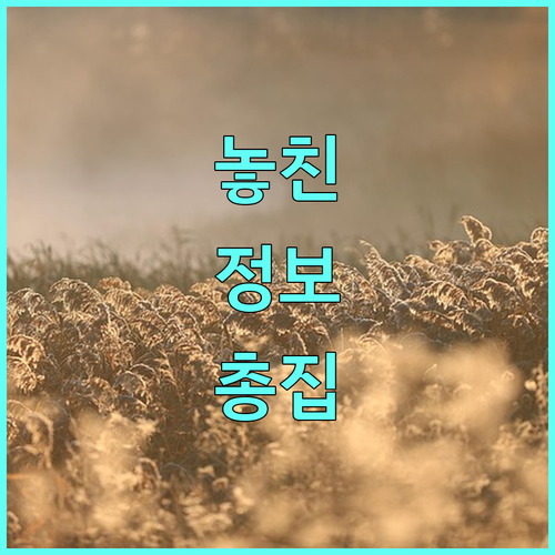 초중고대생 주목 2025 인천 서구 서동이장학금 정보