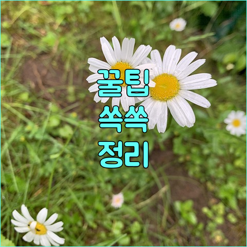 광주시 2025 한부모가족 수도 요금 감면 신청 절차