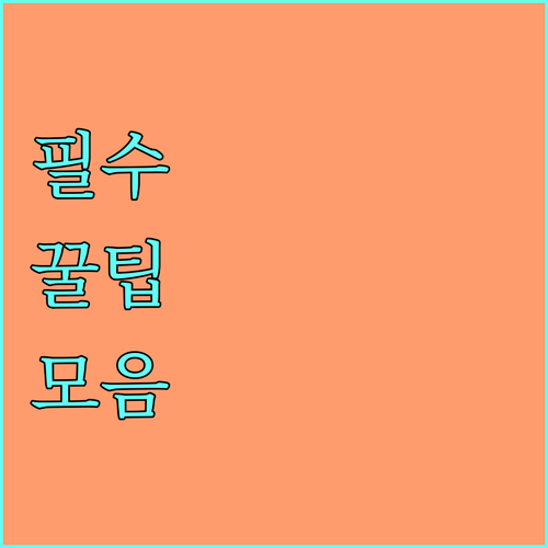 독거노인 위생 지킴이 2025 사랑샘터 무료 세탁 서비스