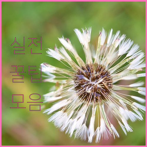 버리기 전 필수 종로구 대형폐기물 처리 절차