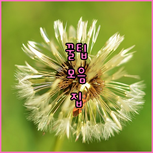 무직자대출 이것만 알면 끝 불법 사기 피하는 방법