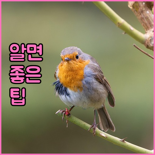 종로구 대형폐기물 온라인으로 버리고 과태료 피하세요