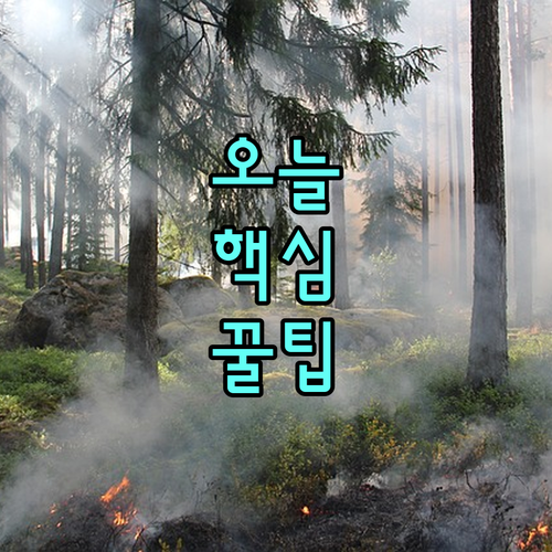 서울 이주여성 2025 건강관리 서비스 주요 혜택 확인