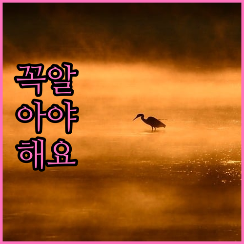 종로구 대형폐기물 수수료와 배출 요령, 완벽 정리 핵심 정보