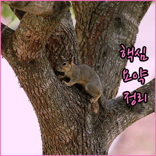 견지동 폐기물 인터넷 신고로 깔끔하게 처리하는 5단계
