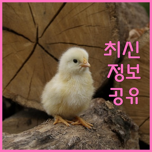 동네 가게 살린 상생페이백 정책 어떤 소비가 대상이었나