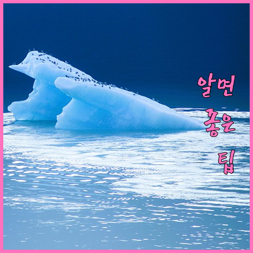 대형폐기물 수거 지연 방지! 종로구 올바른 배출 신고법