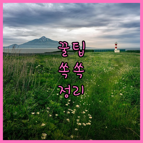 강동구 성내동 대형폐기물, 이렇게 버려야 수거됩니다