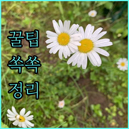 2025 고양시 자활기금 절대 놓치지 마세요 지원 조건과 신청