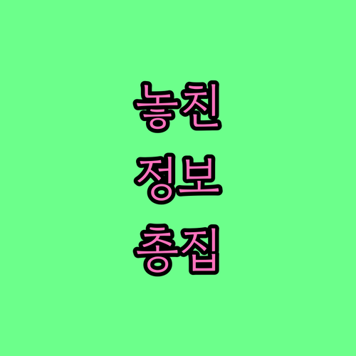 강남 일원동 대형폐기물, 편리한 온라인 신고와 스티커 구매
