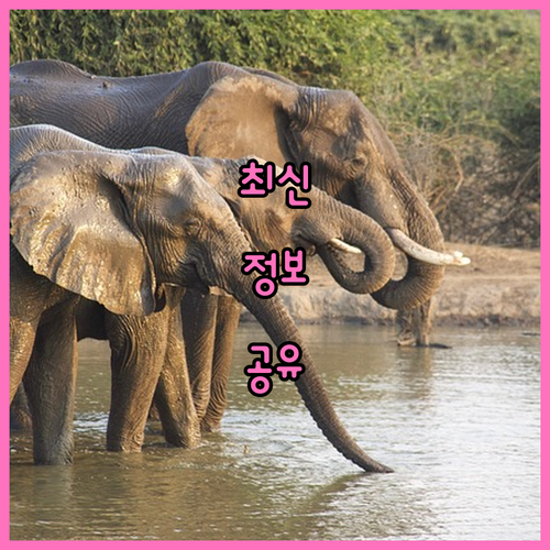 통인동 대형폐기물 인터넷 신고 프린터 없이도 쉬운 절차