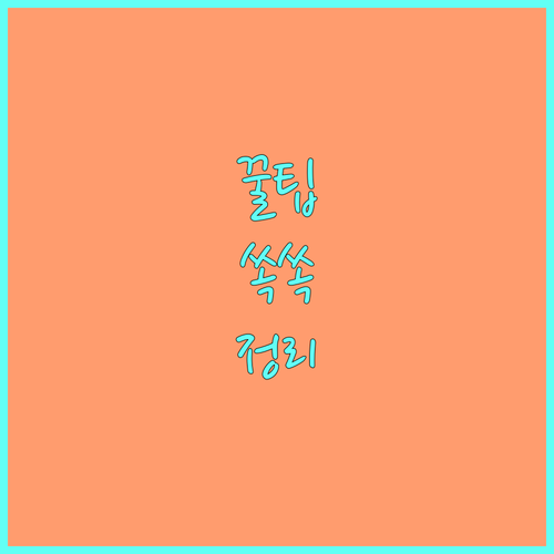 2025 서울 중구 임산부 엽산 철분 검사 지원 놓치지 마세요