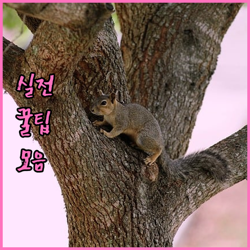종로구 중학동 폐기물: 정확한 처리 수수료 확인 방법