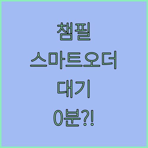 기아 챔피언스 필드 스마트 오더 활용법과 대기 시간 단축법