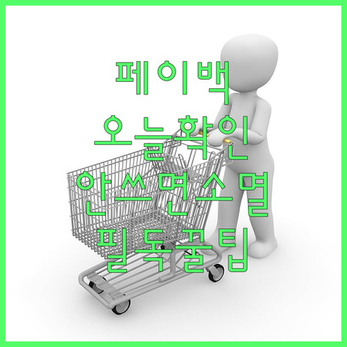 롯데마트 통큰세일 페이백 지급일 확인 방법 및 사용법