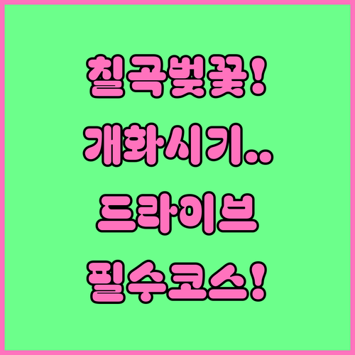 칠곡 벚꽃 개화일과 절정 시기 및 주요 드라이브 코스