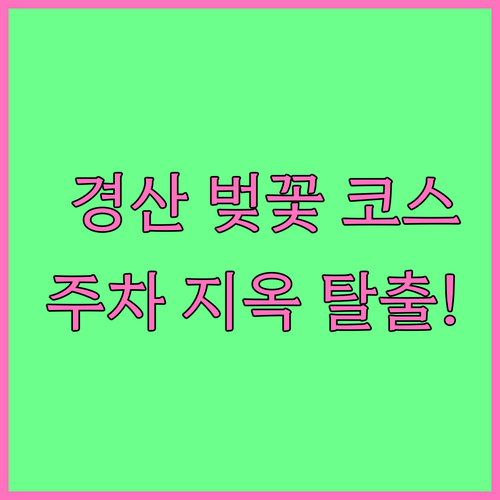 2026 경산 벚꽃 나들이 코스 및 방문객 주차 꿀팁