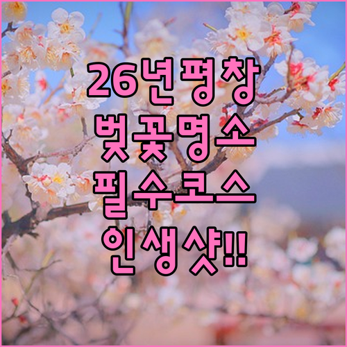 2026년 평창 벚꽃 여행을 위한 명소별 특징과 방문 팁