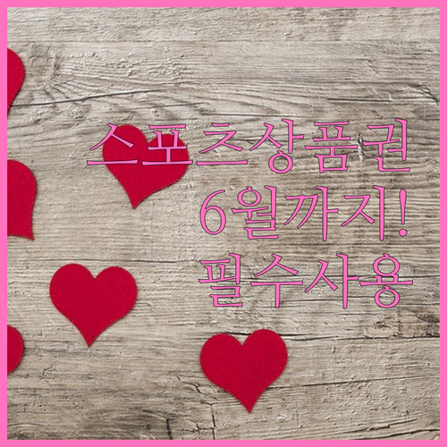 2026년 6월 30일까지 사용해야 하는 스포츠상품권