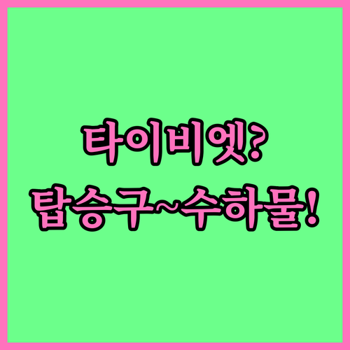 인천공항 타이비엣젯 탑승구부터 수하물까지 한눈에