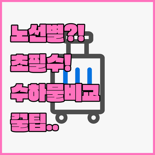 노선별 투르크메니스탄 항공 위탁수하물 허용량 비교