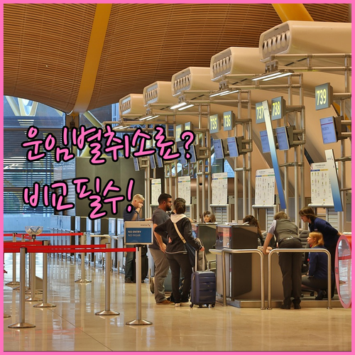 하와이안 항공 운임 등급별 취소 수수료 | 메인 캐빈부터 비즈니스까지 비교