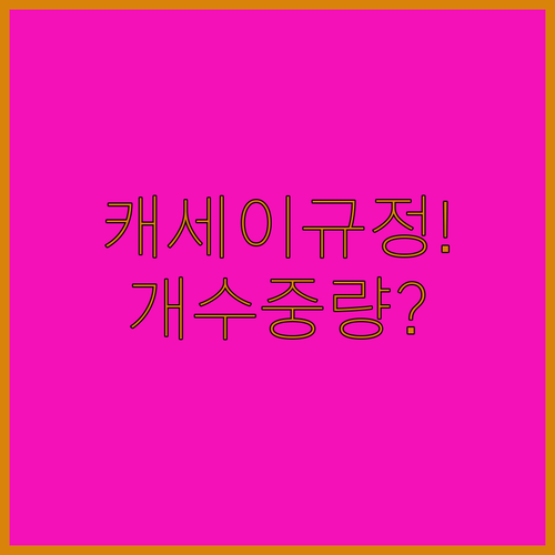 캐세이퍼시픽 수하물 규정 | 개수제와 중량제 차이점 한눈에 보기