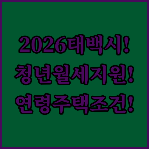 2026년 태백시 청년월세 지원 연령 및 주택 조건 정리