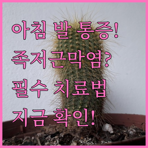 아침마다 아픈 발바닥 족저근막염 증상부터 치료까지