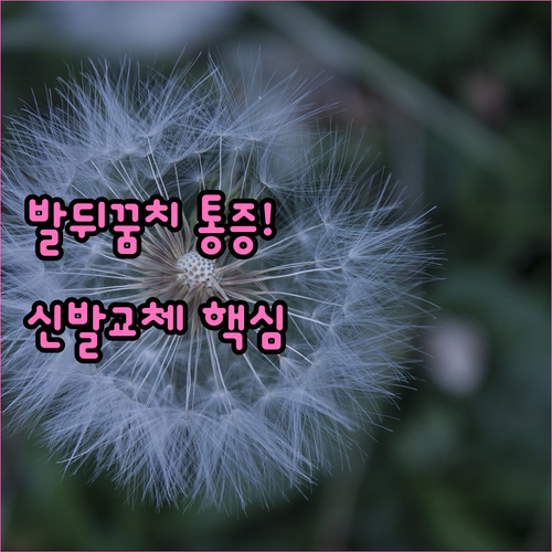 image 202448f4