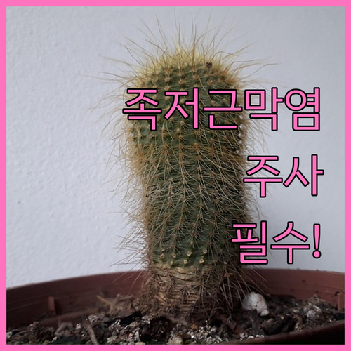 image 3298f9c1