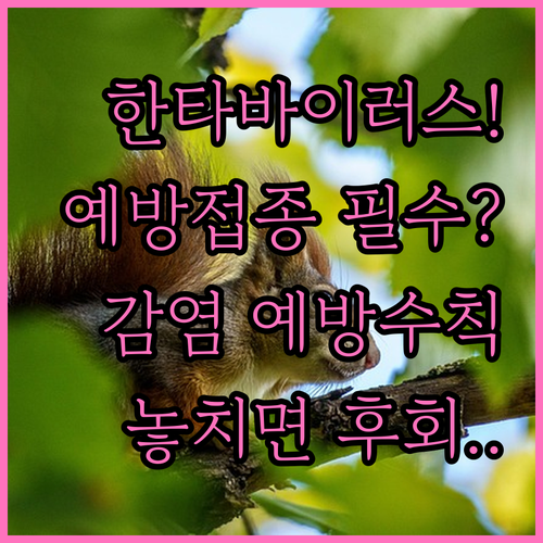 한타바이러스 예방접종 대상자와 감염 예방 수칙 총정리