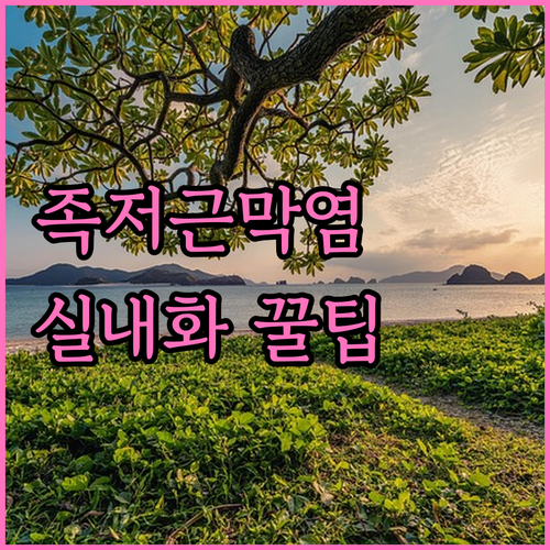 image 3a81dfe8