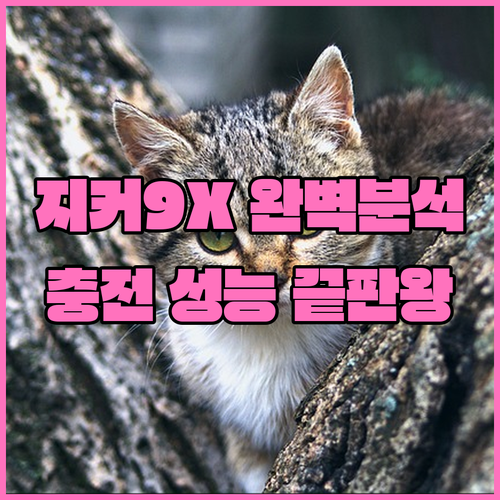 image 72996d93
