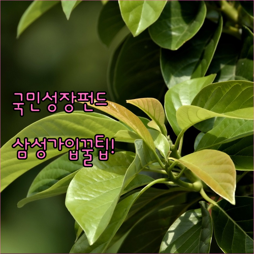 image 7b723db7