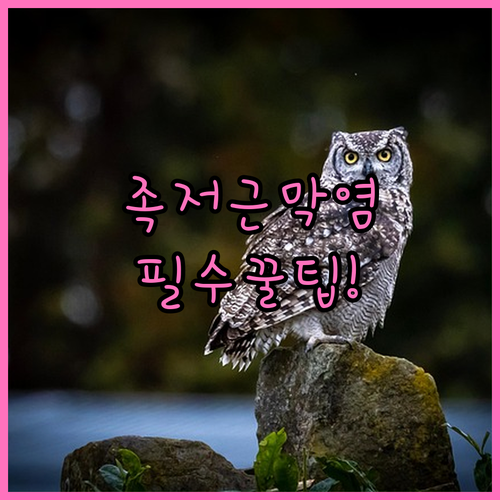 image 9d0eb65d