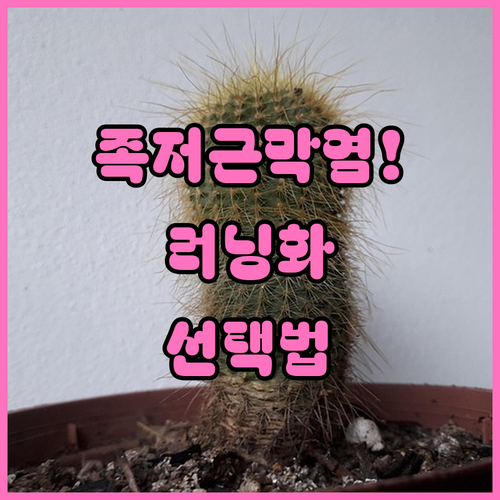 image cb3d0455