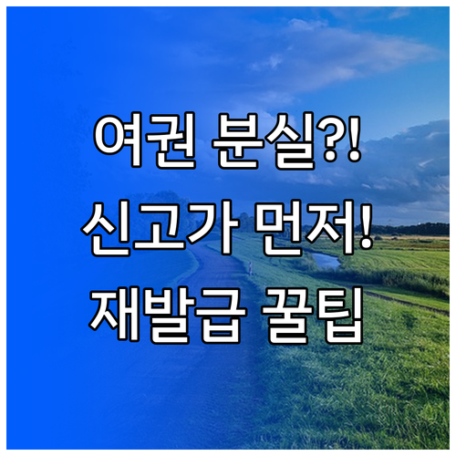 여권 분실하면 가장 먼저 신고, 재발급 방법까지