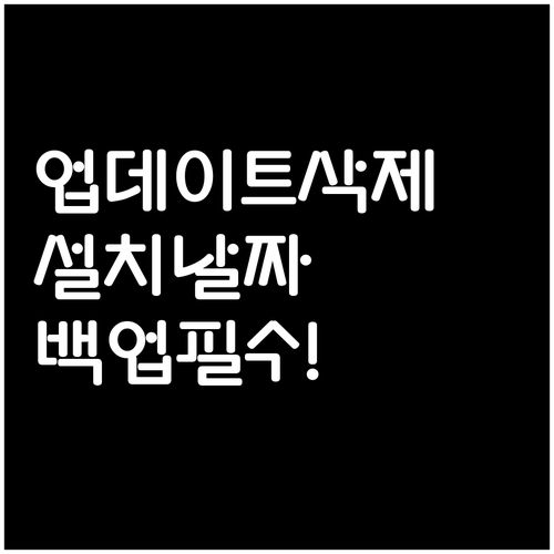 윈도우11 업데이트 삭제 전 백업과 설치 날짜 확인사항