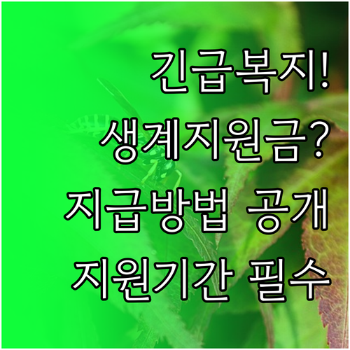 image 7bcc3e26
